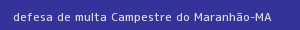 defesa/recurso de multa campestre do maranhão