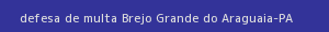defesa/recurso de multa brejo grande do araguaia