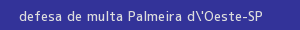 defesa/recurso de multa palmeira d'oeste