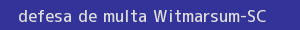 defesa/recurso de multa witmarsum